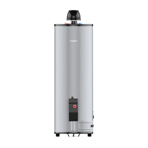 Calentador Gas Natural Mabe CDM40SNA Depósito de 38 L